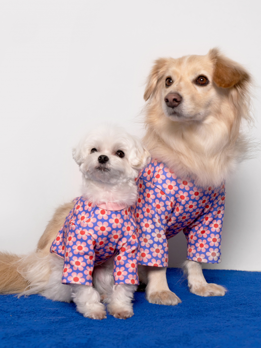 Pink Dog Shirt