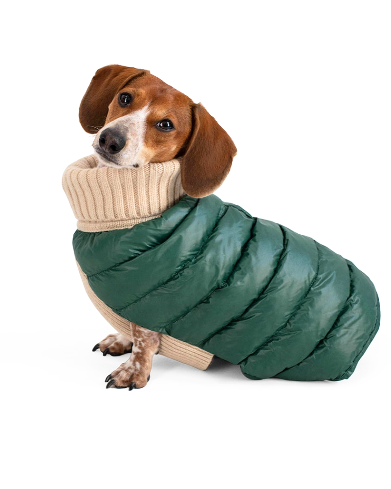 The Puffer Dog Sweater in Tan & Green