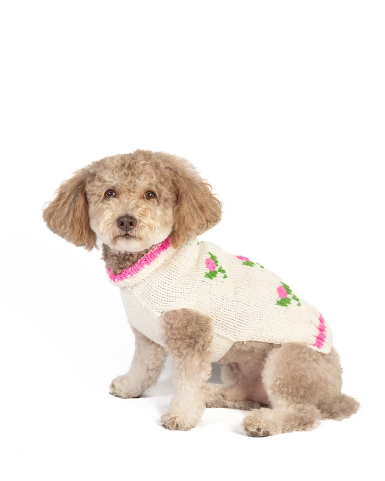 Rose Bud Wool Knit Dog Sweater (FINAL SALE)