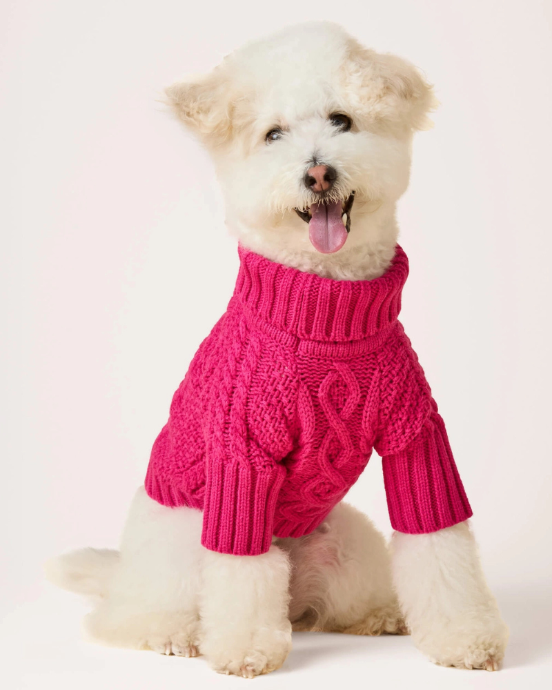 Hot Pink Cable Knit Dog Sweater