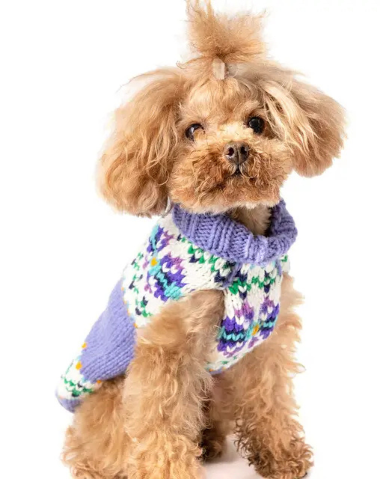 Flowers Wool Dog Sweater (FINAL SALE)