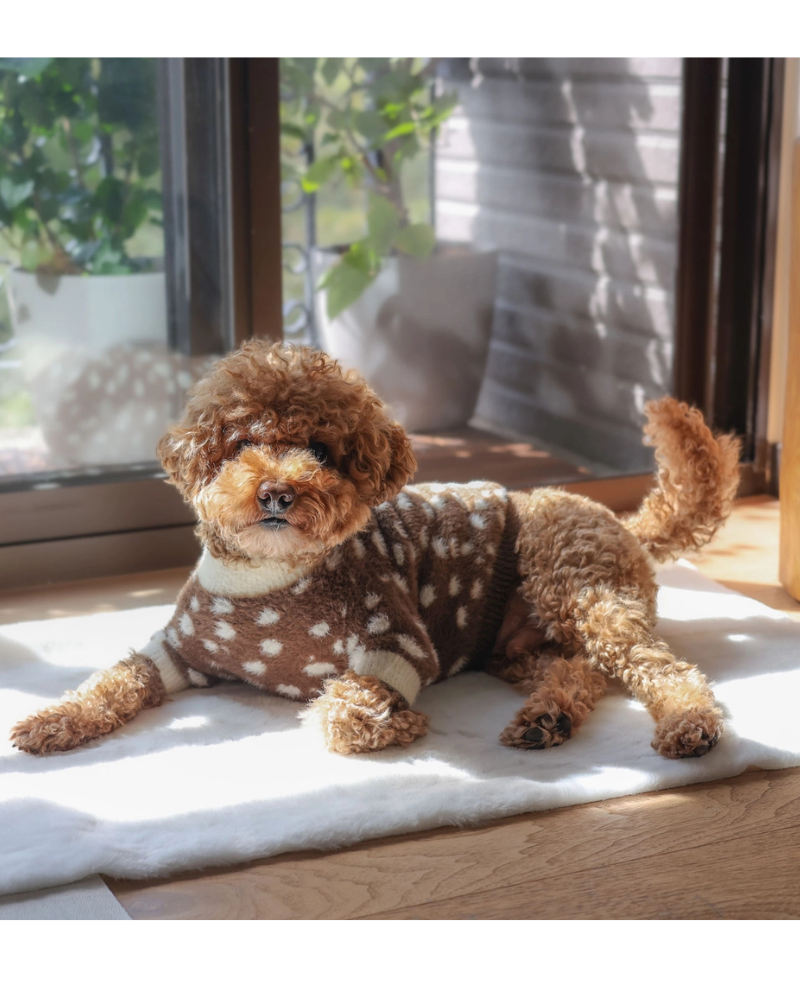 Oh Deer! Soft Cloud Dog Sweater