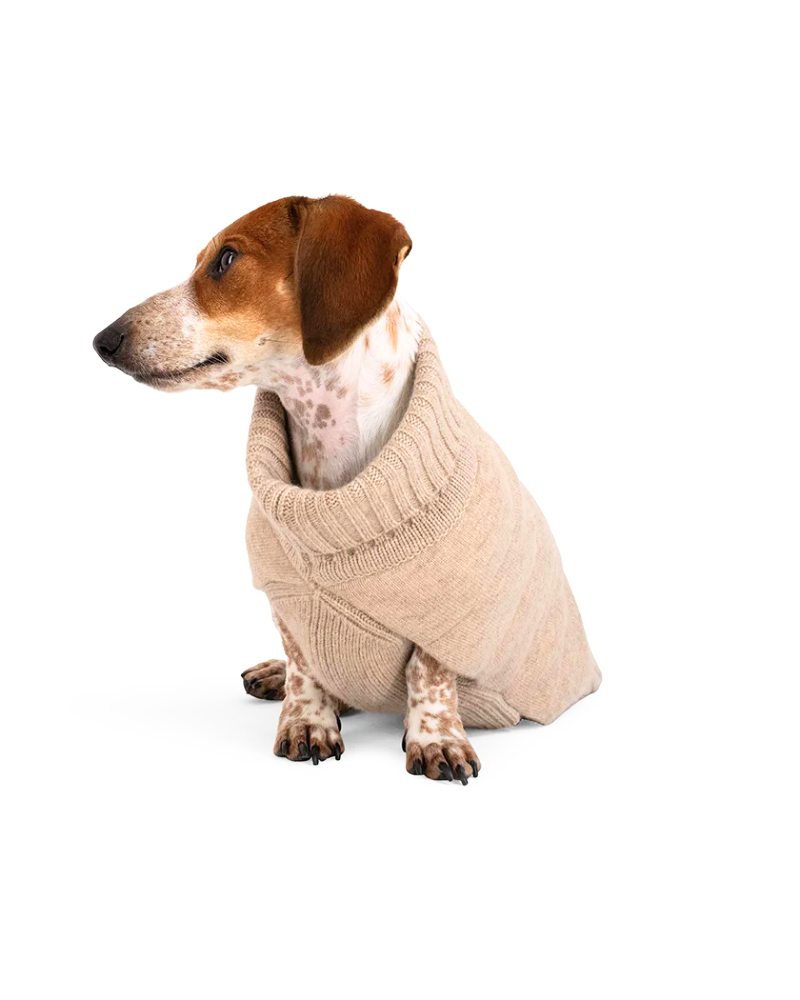 The Puffer Dog Sweater in Tan