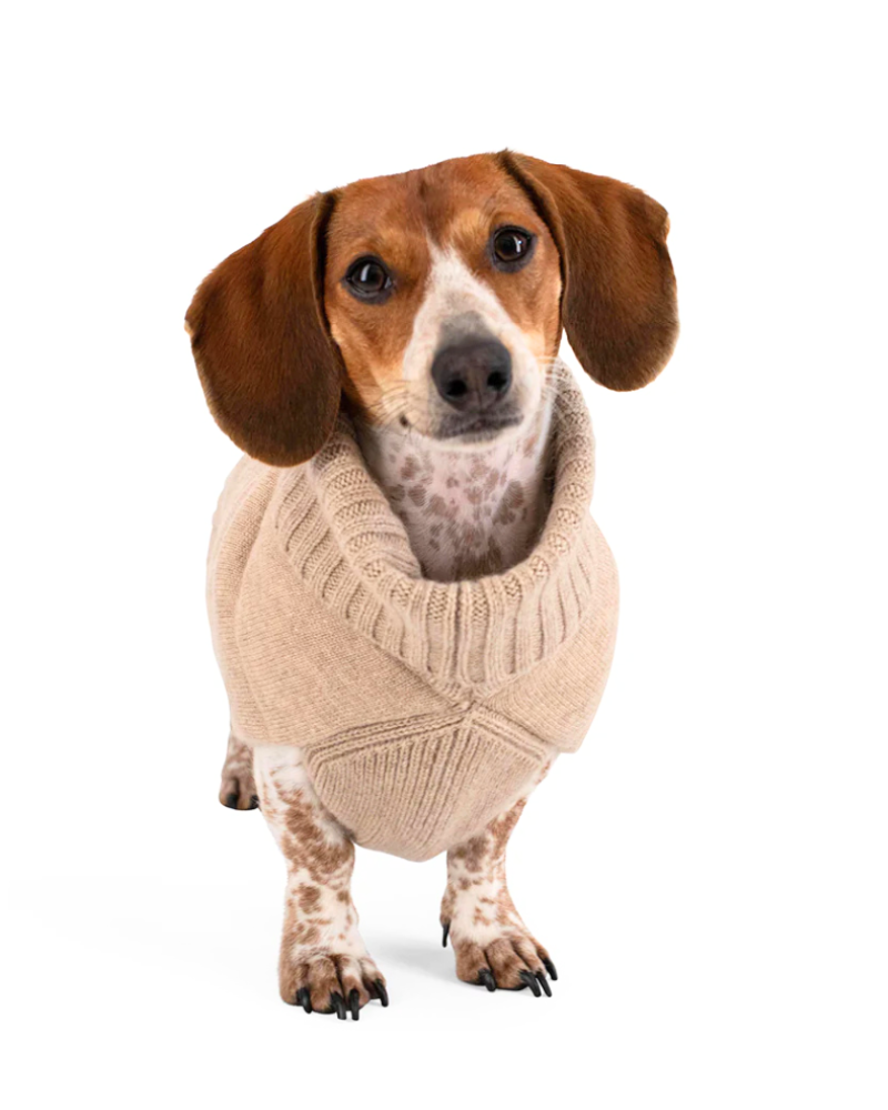 The Puffer Dog Sweater in Tan