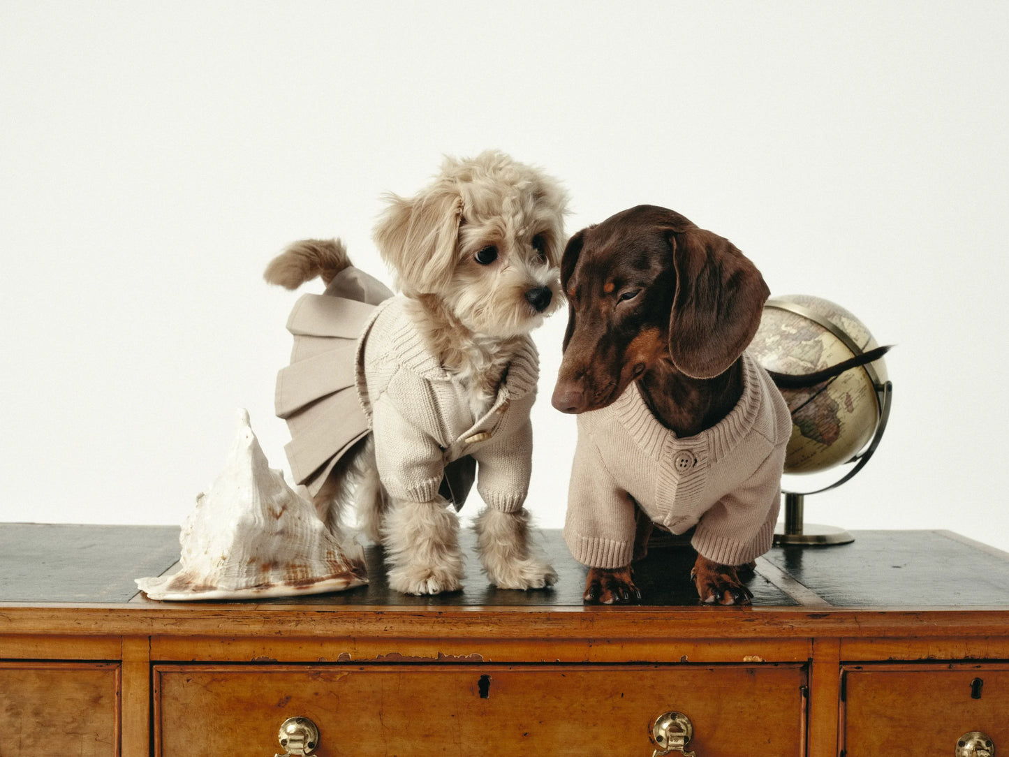 Knit + Trench Dog Dress