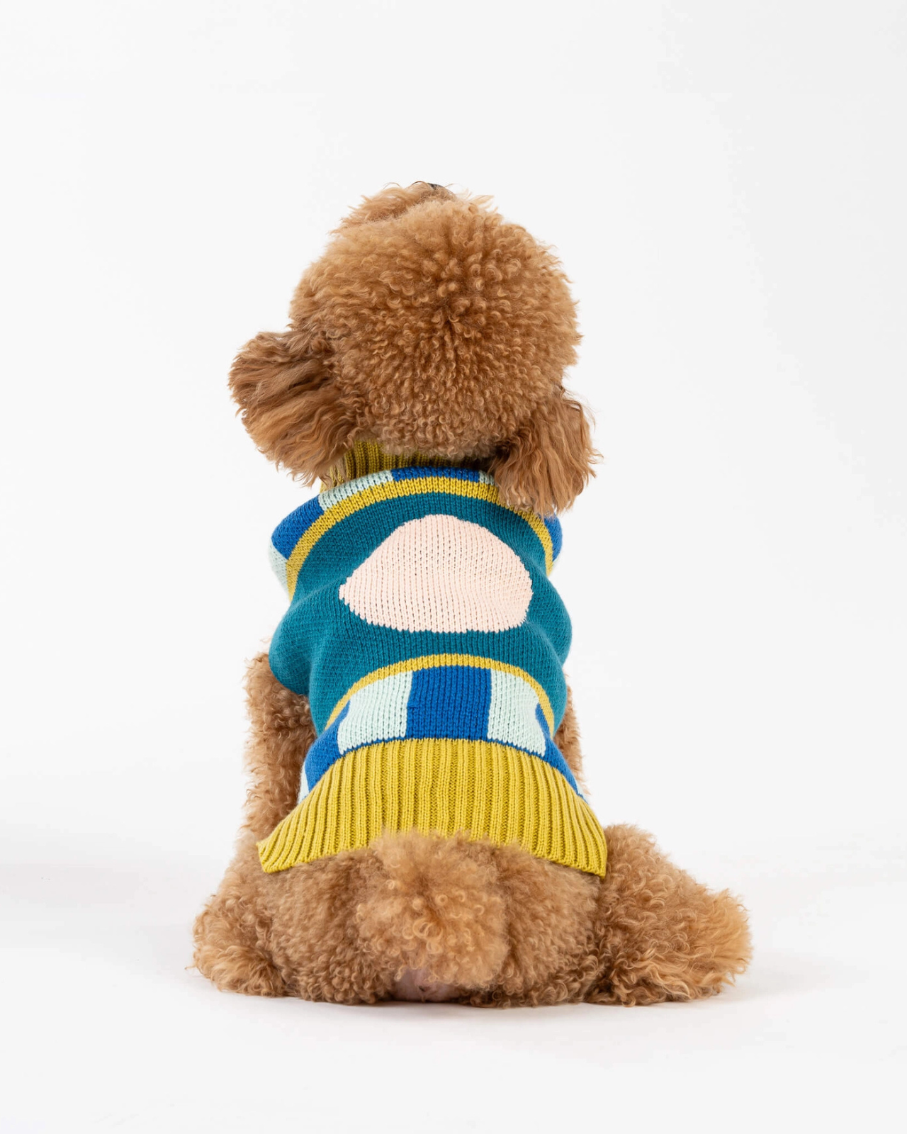 Dot Dog Sweater