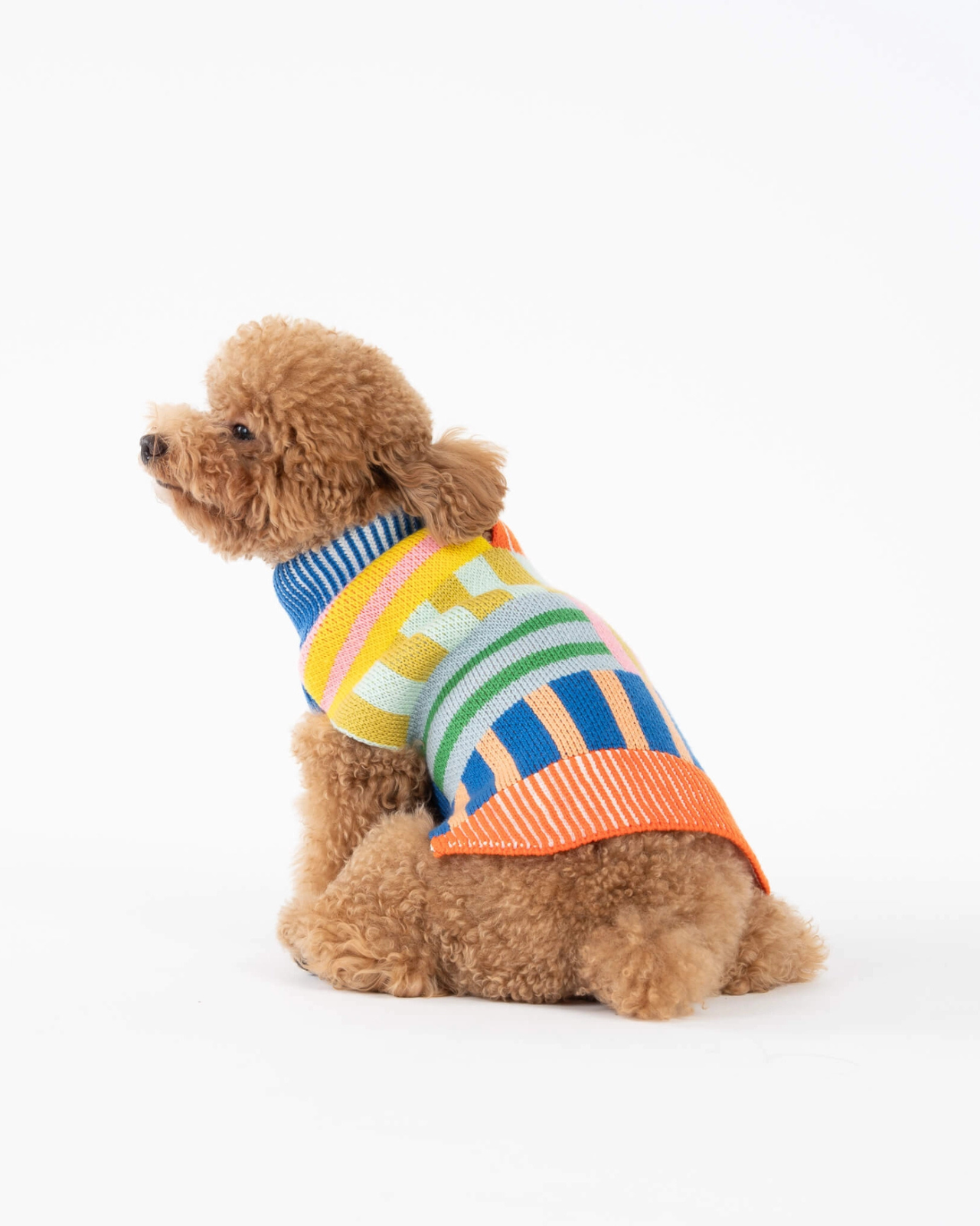 Patchwork Stripe Dog Sweater in Rainbow