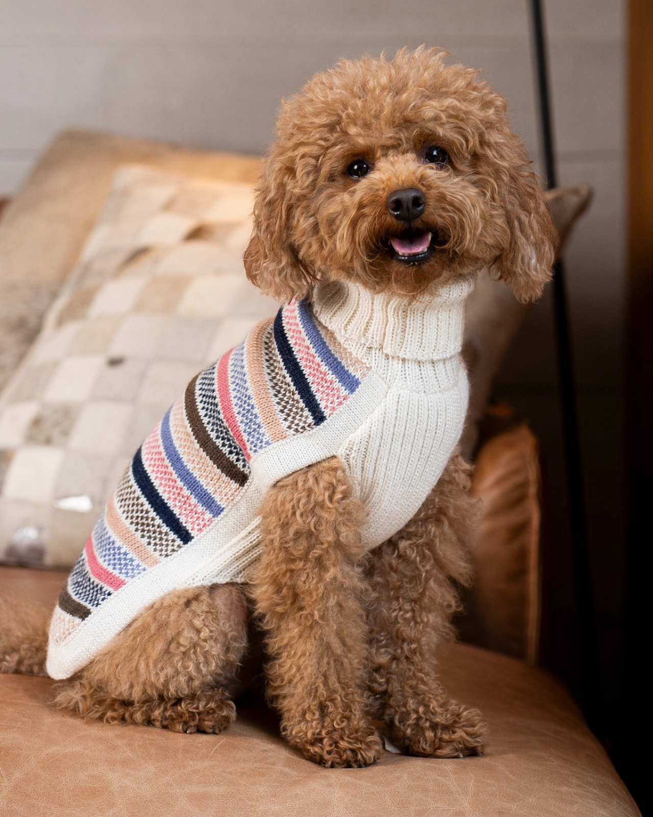 Dog Sweater