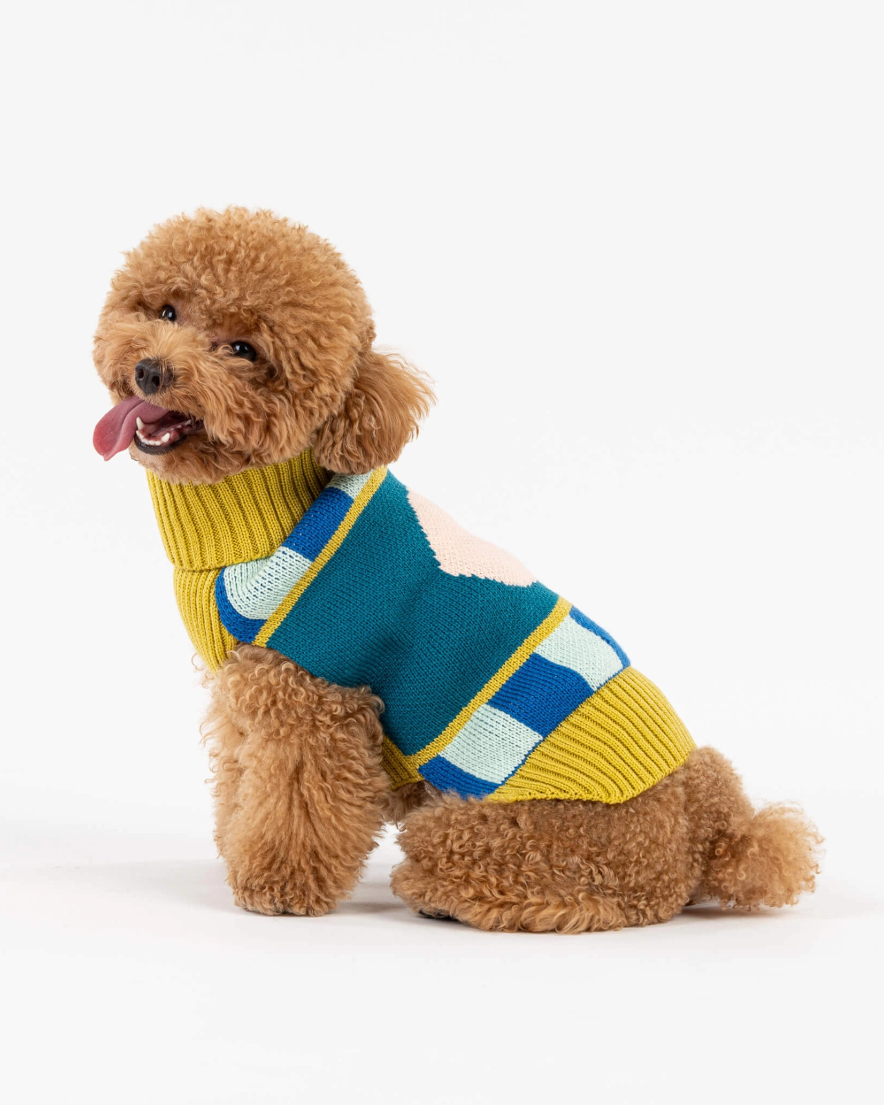 Dot Dog Sweater