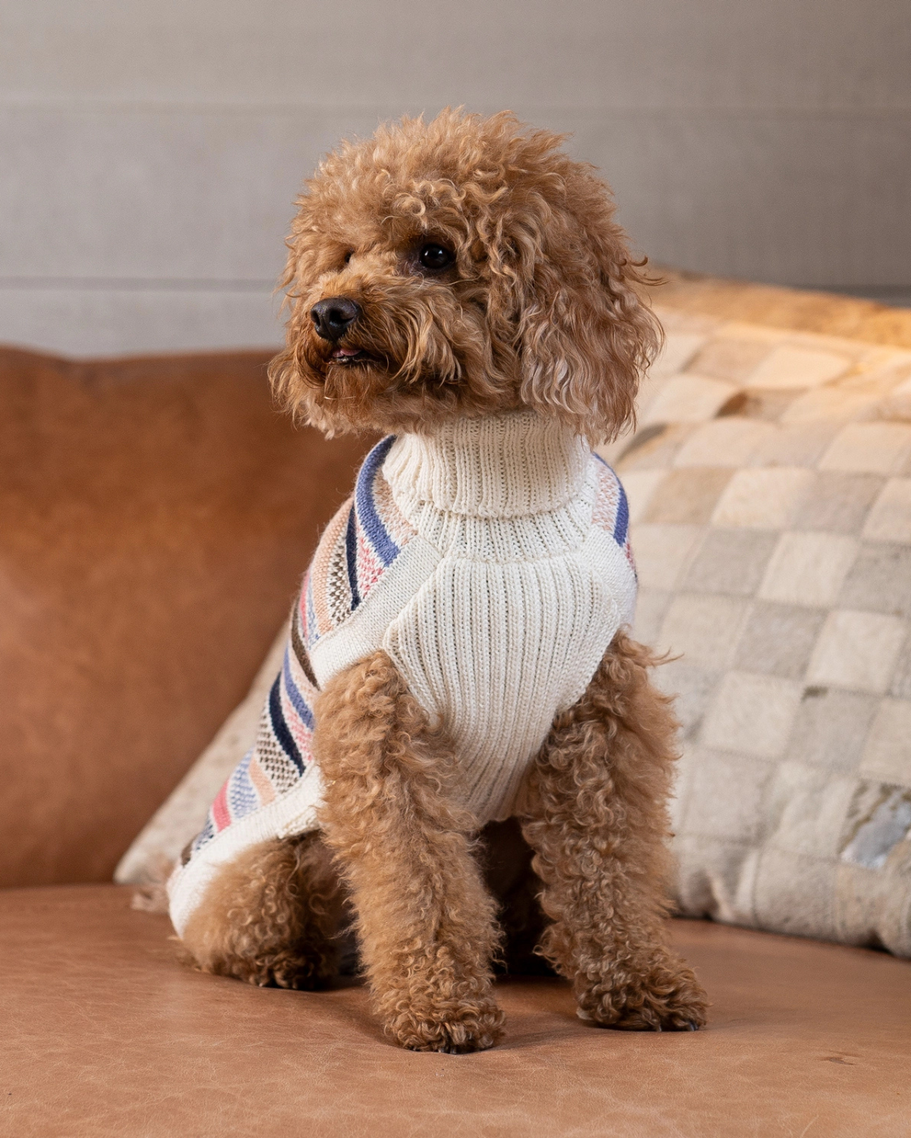 Dog Sweater