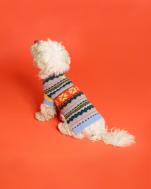 Wool Dog Sweater in Blue