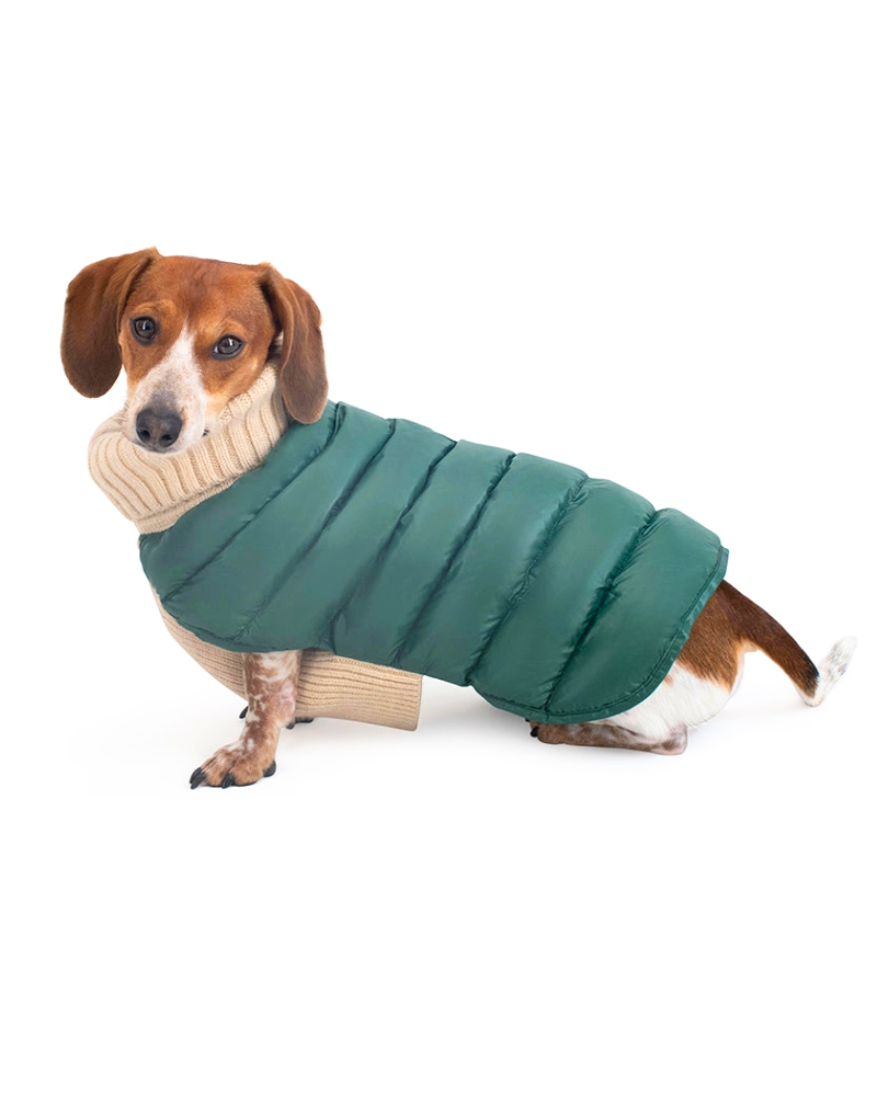 The Puffer Dog Sweater in Tan & Green