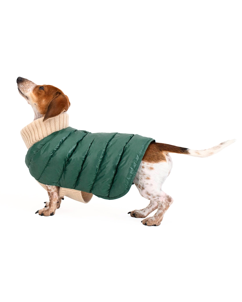 The Puffer Dog Sweater in Tan & Green