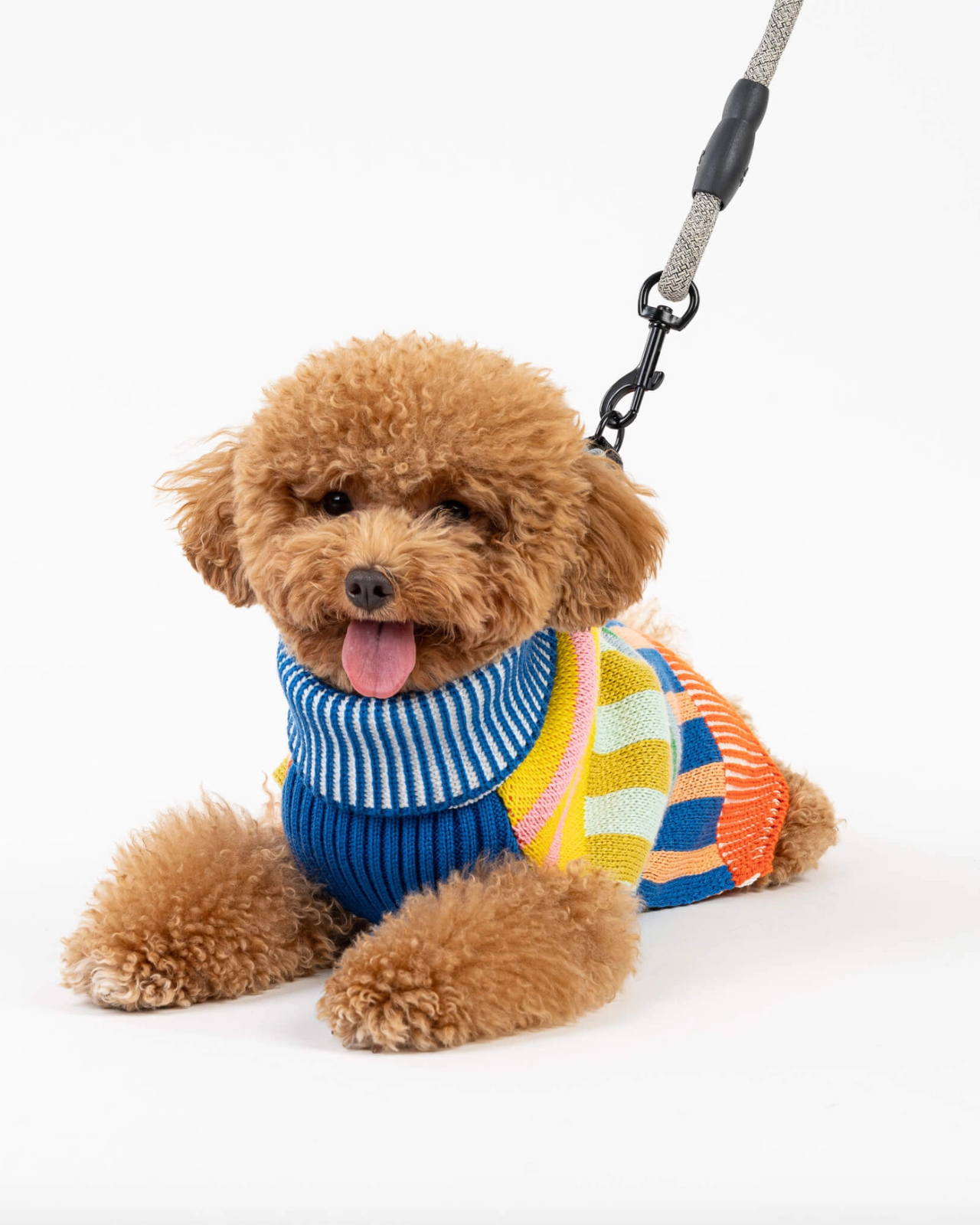 Patchwork Stripe Dog Sweater in Rainbow