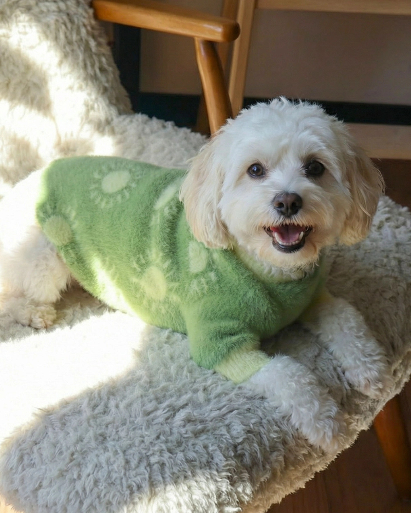 Sunny Day Soft Cloud Dog Sweater