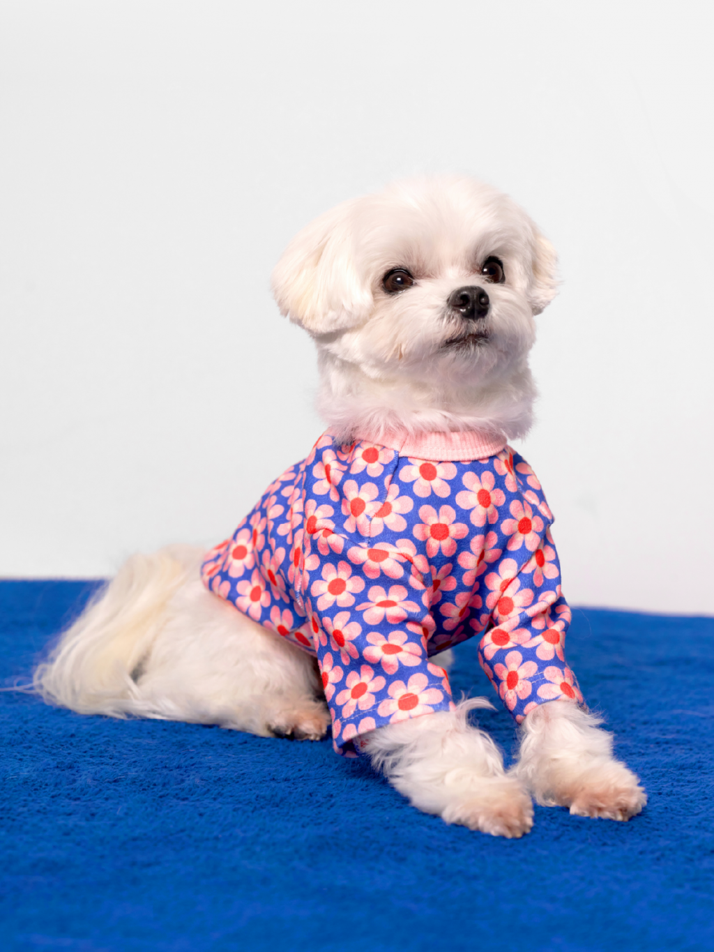 Pink Dog Shirt