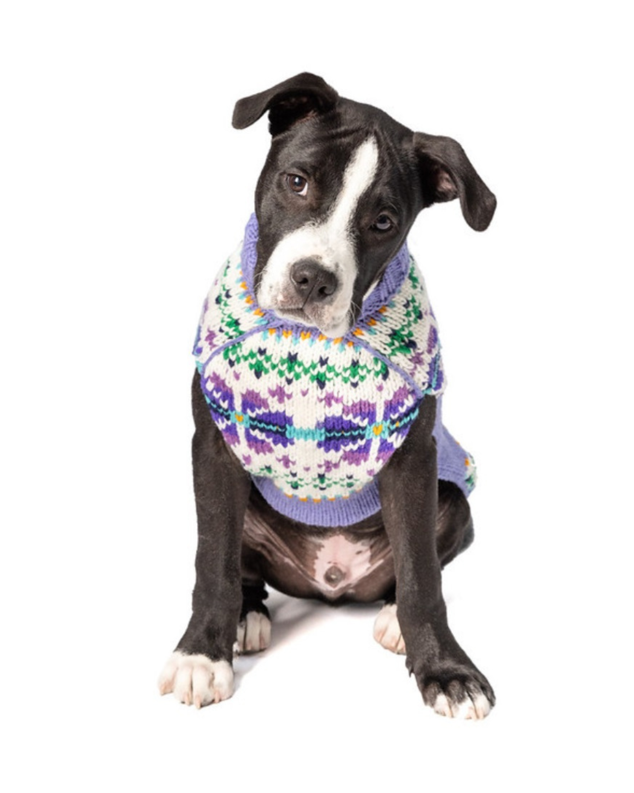 Flowers Wool Dog Sweater (FINAL SALE)