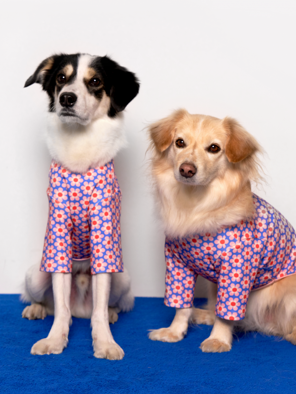 Pink Dog Shirt