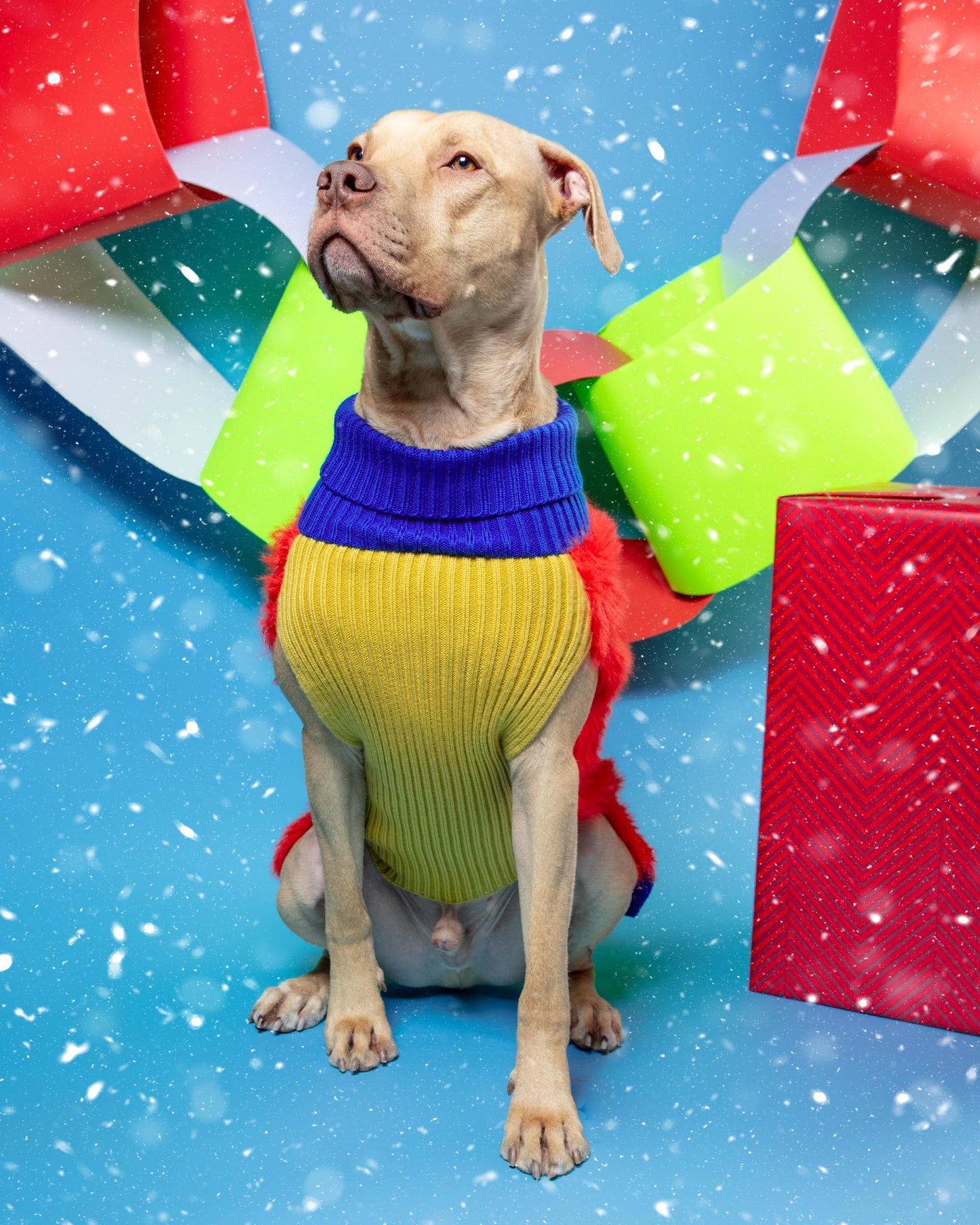 Faux Fur Dog Sweater