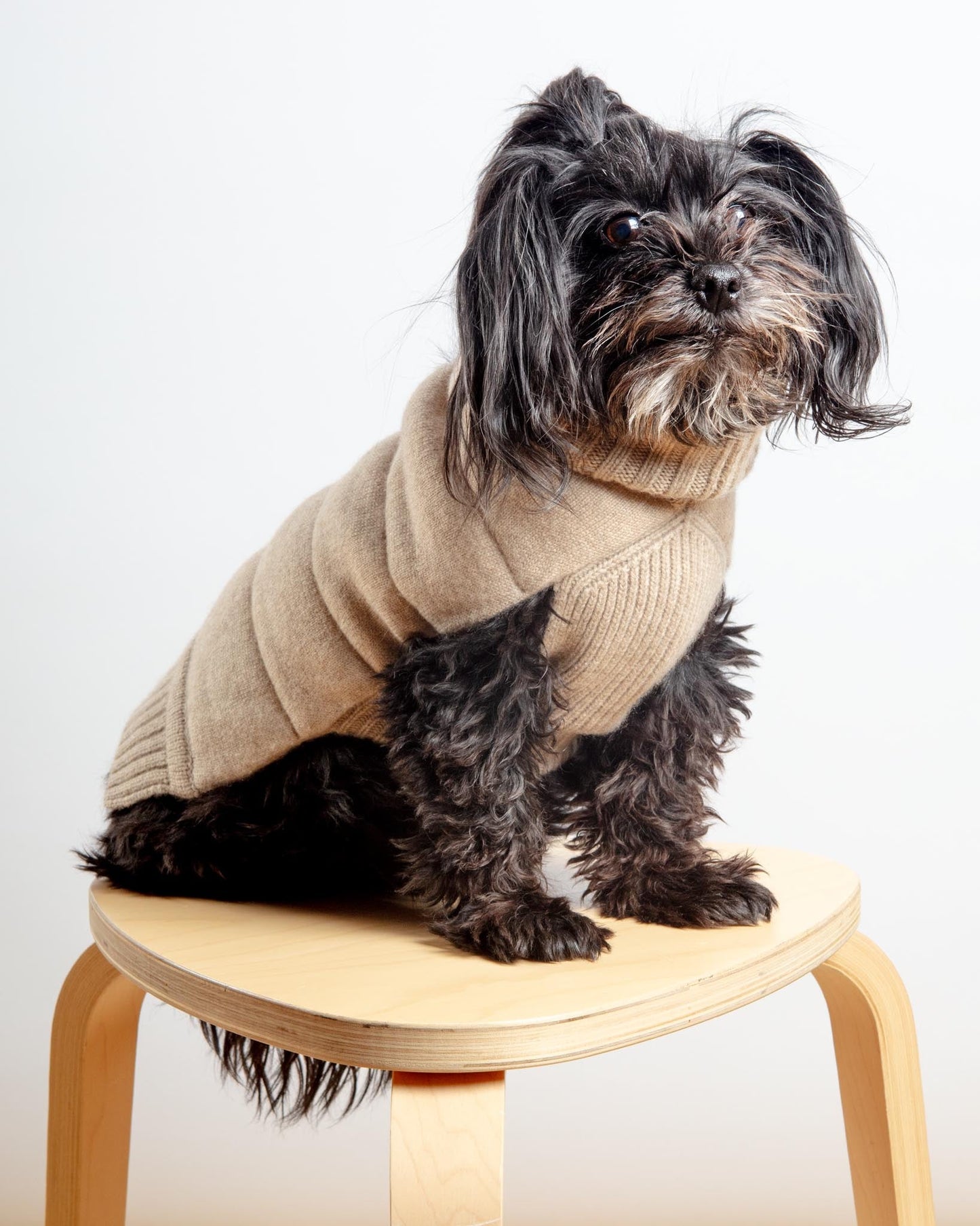 The Puffer Dog Sweater in Tan