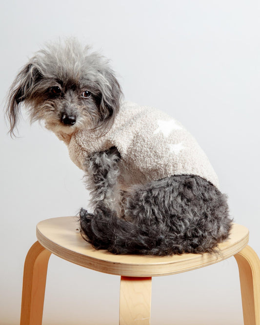 CozyChic Night Pet Sweater in Stone Pearl
