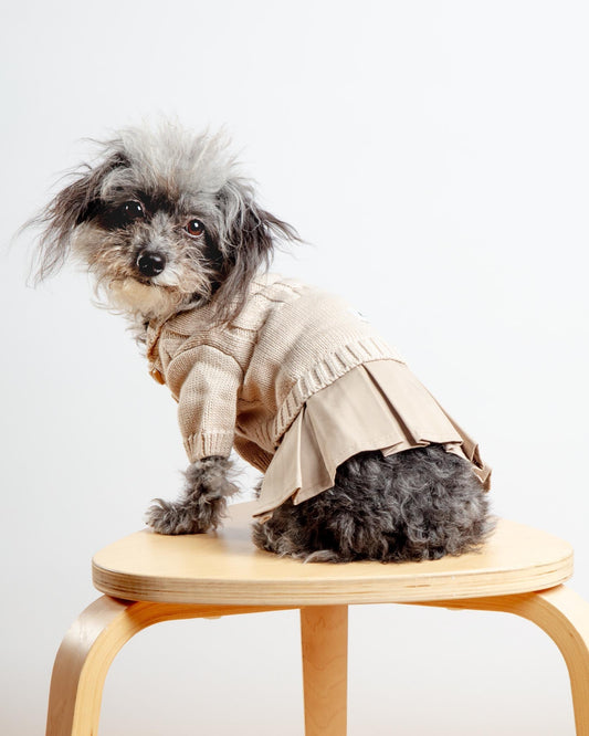 Knit + Trench Dog Dress