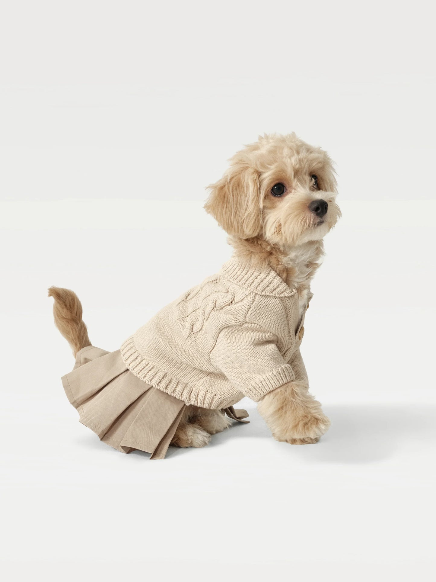 Knit + Trench Dog Dress