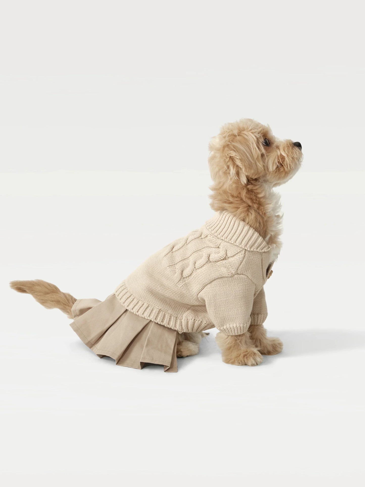 Knit + Trench Dog Dress